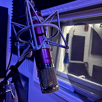 That Platinum Sound LLC Microphone Photo