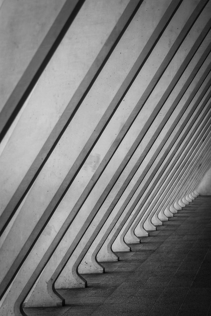 _MG_2767.jpg