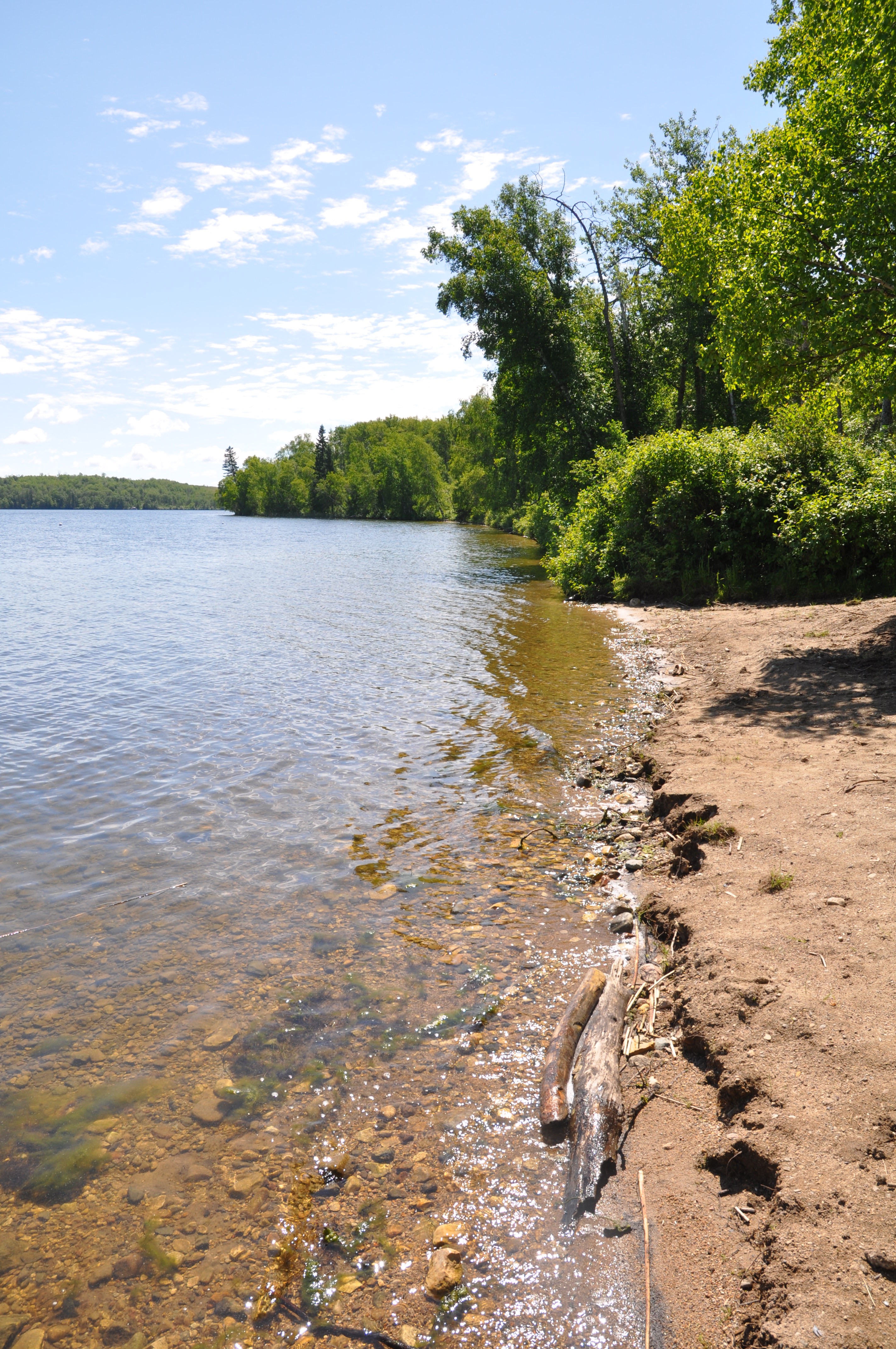 DSC_0036 (1)