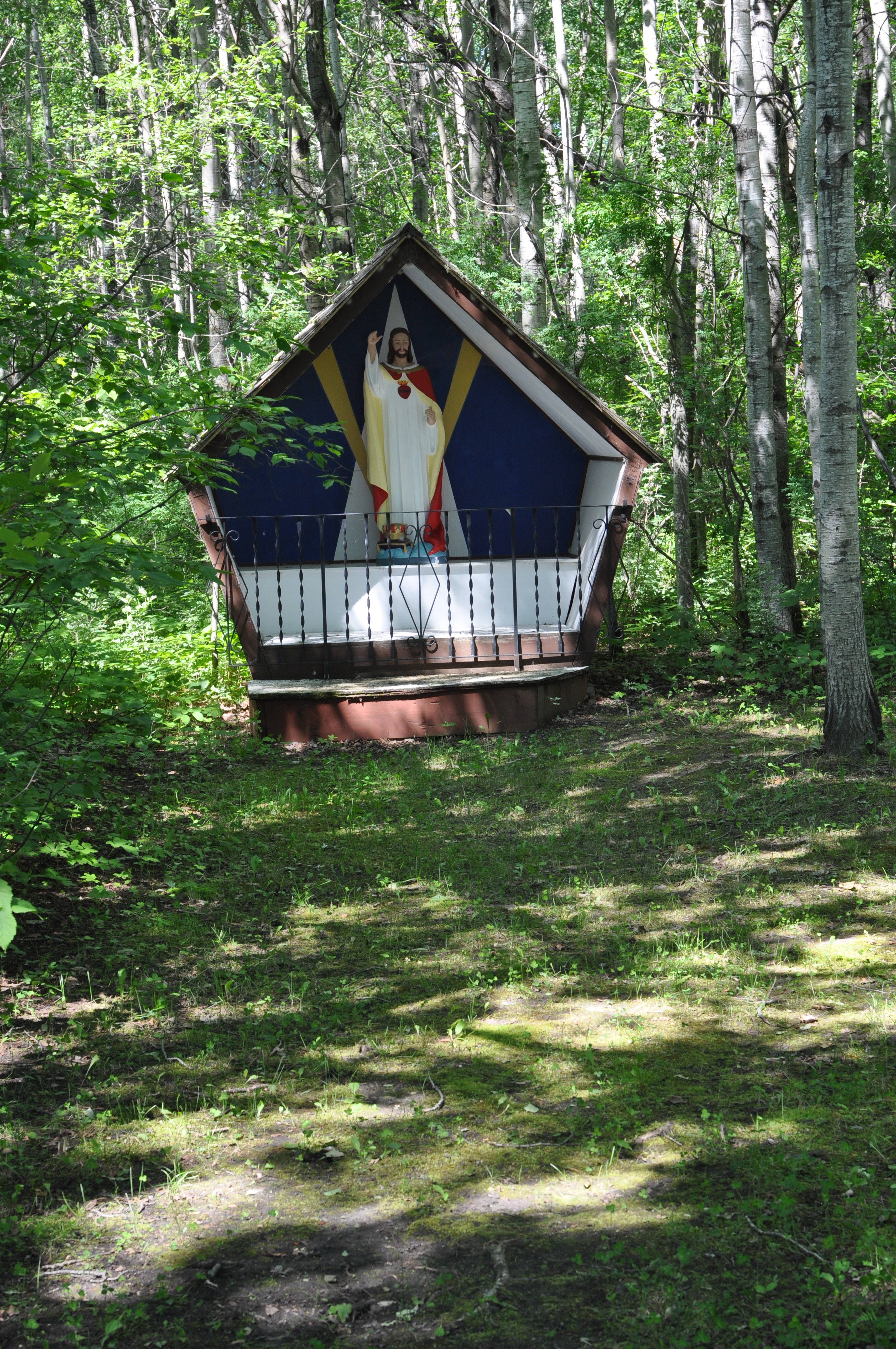 DSC_0044 (6)