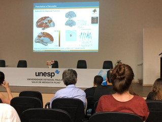 Work presented at the XV Confiam on functional connectivity during a verbal fluency task