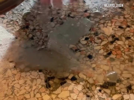 Terrazzo Floor Restoration