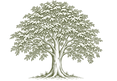 f9c27be5aedb128aa8f5e22e1db1455d5bb40cd25aafee43ecda6f8371279869.png