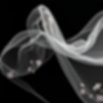 floral veil on black background in wind.jpg