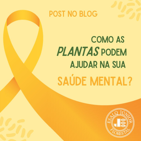 Como as plantas podem ajudar na saúde mental?
