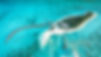 Aerial new.jpg