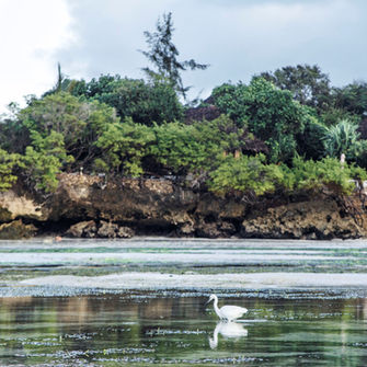 Surrounded by nature, there is nothing more romantic than a sunset, a sunrise or a stroll through Island Pongwe. 
