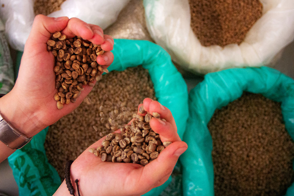 What is Single-Origin Coffee?