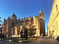 Morille - Salamanca