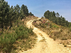 Etappe von Eappe von Campobecerros nach A Alberguería nach Campobecerros