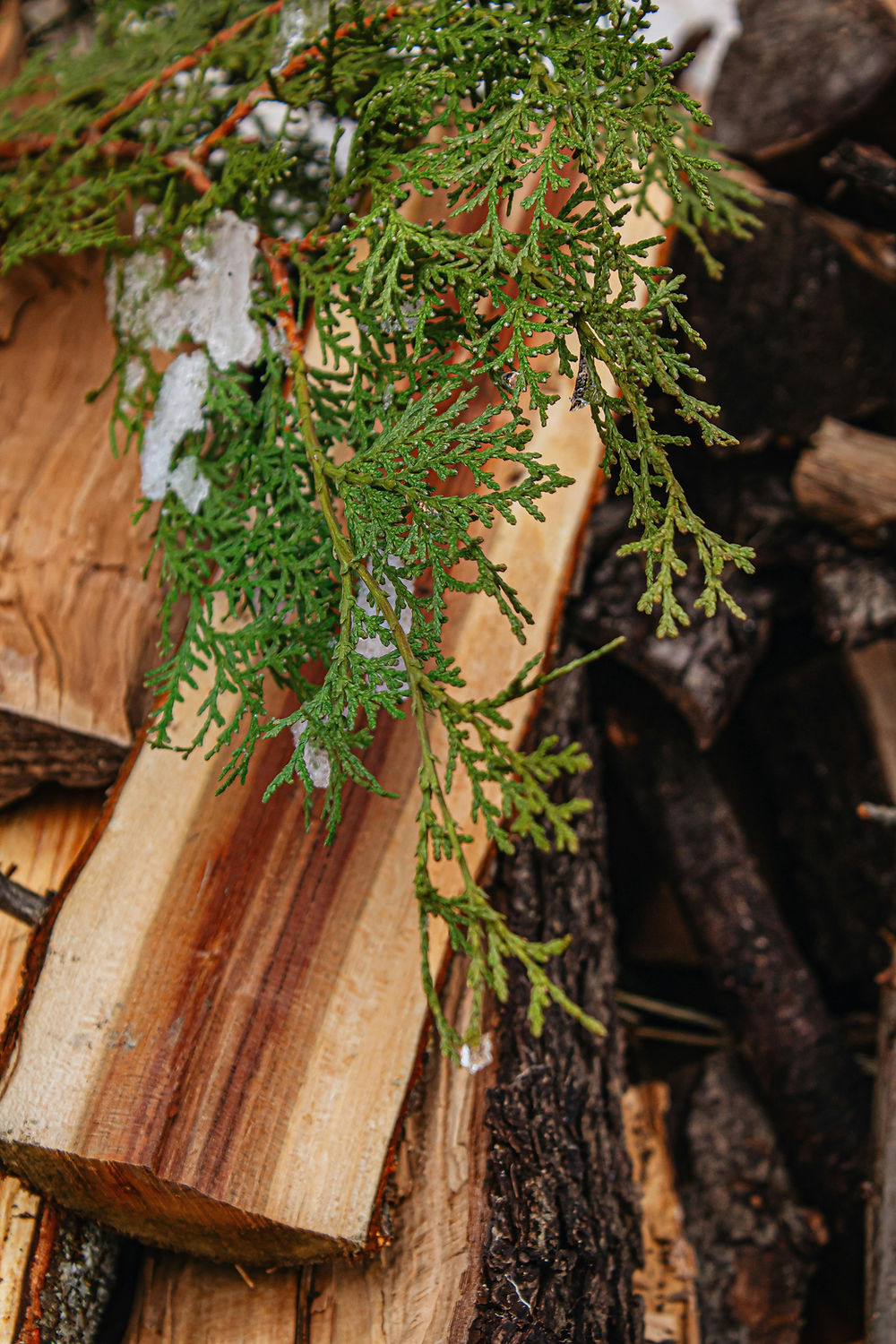 mental-health-reset-sauna-experience