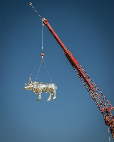 disco cow.jpeg