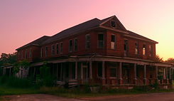 Litter_and_landscape3.jpg