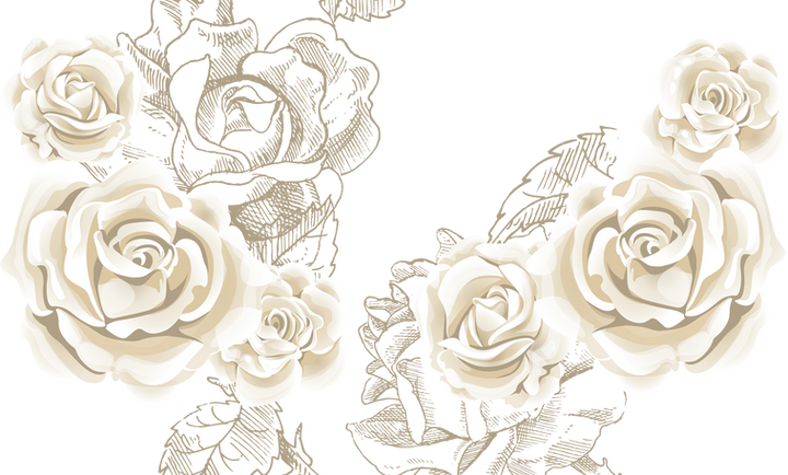 NicePng_flowers-bokeh-png_4435698 (2).png