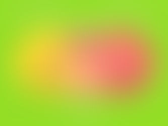 Dialectical Behavioral Therapy Wise Mind 