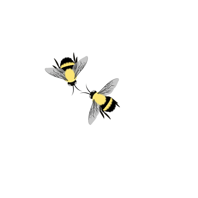 2.gif