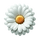 daisy.png