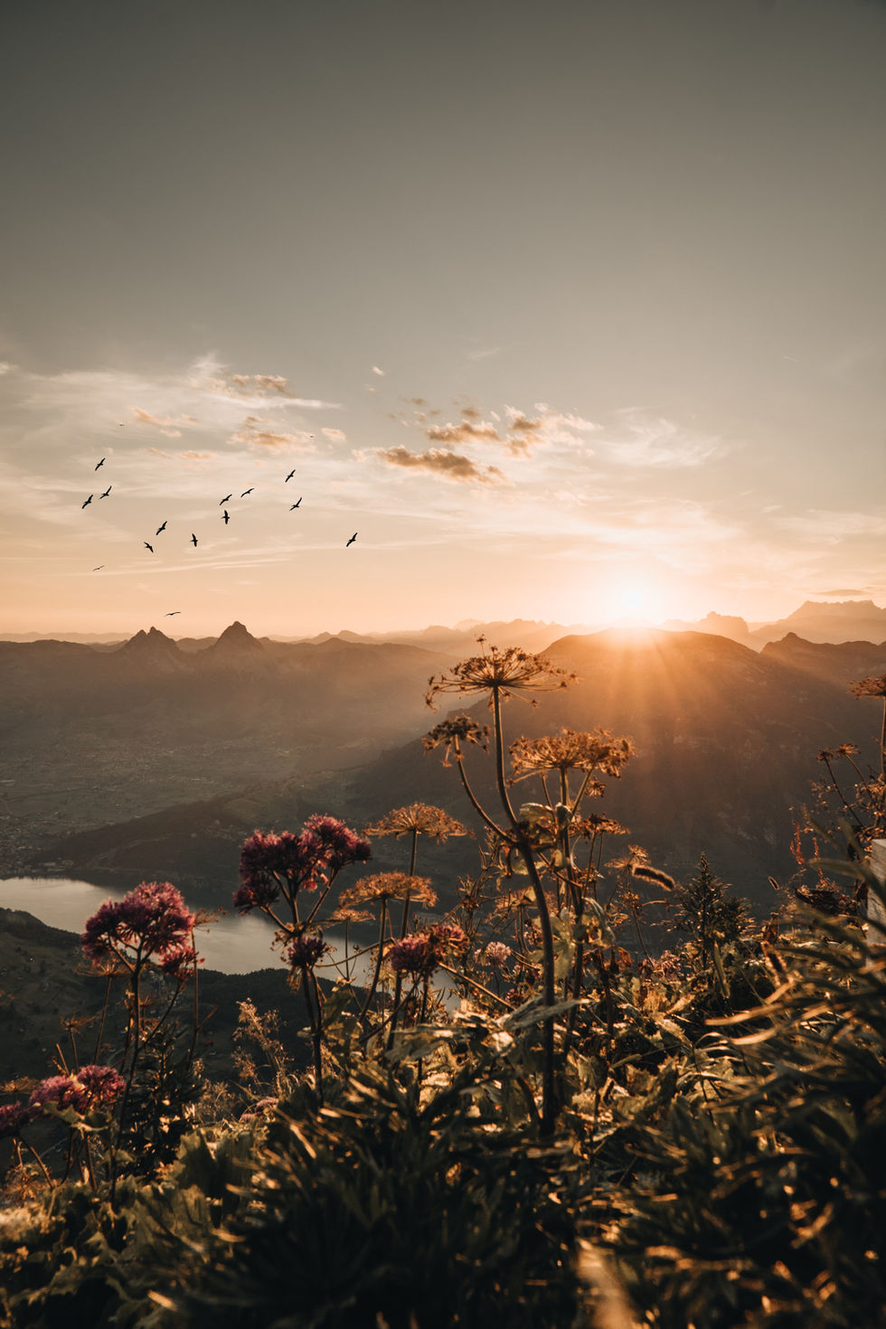 2023年 あけましておめでとうございます