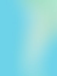 DTAR SECURITY EXECUTIVE BRIEF: CHILE NIGHTCLUB SHOOTING 70+ ROUNDS FIRED, TAIWANESE TOURIST BUS CRASHED DOWN A RAVINE, ISIS ATTACK IN SYRIA, AND ATTACK ON NYC MAYOR RESIDENCE COULD BE ISIS INSPIRED