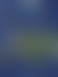 DTAR SECURITY EXECUTIVE BRIEF: IN 2025 HAITIAN DRONES KILLED 1200+, WHO WARNED OF BLACK RAIN FROM REFINERY ATTACKS, CONCERNS IN SYRIA, AND FBI SEARCHED STORAGE FACILITY LINKED TO ISIS INVESTIGATION