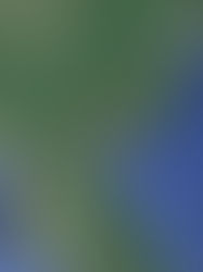 DTAR SECURITY EXECUTIVE BRIEF: NORTH KOREA LAUNCHED BALLISTIC MISSILE, FIRE DISPLACED OVER 9K RESIDENTS IN MALAYSIA, SYRIAN SHOOTING AT KURDISH FLAG, AND MULTIPLE CT EFFORTS IN NIGERIA