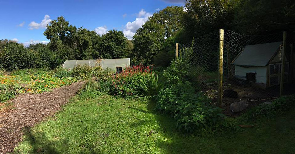 Gaia's Garden....jpg