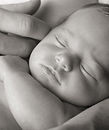 Sleeping Newborn