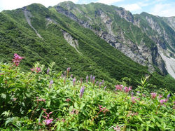 ユートピアから大山