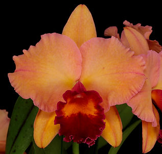 No Photo Image.jpg