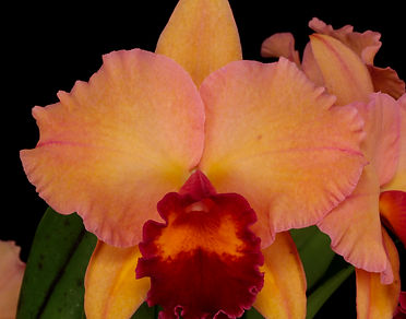 No Photo Image.jpg