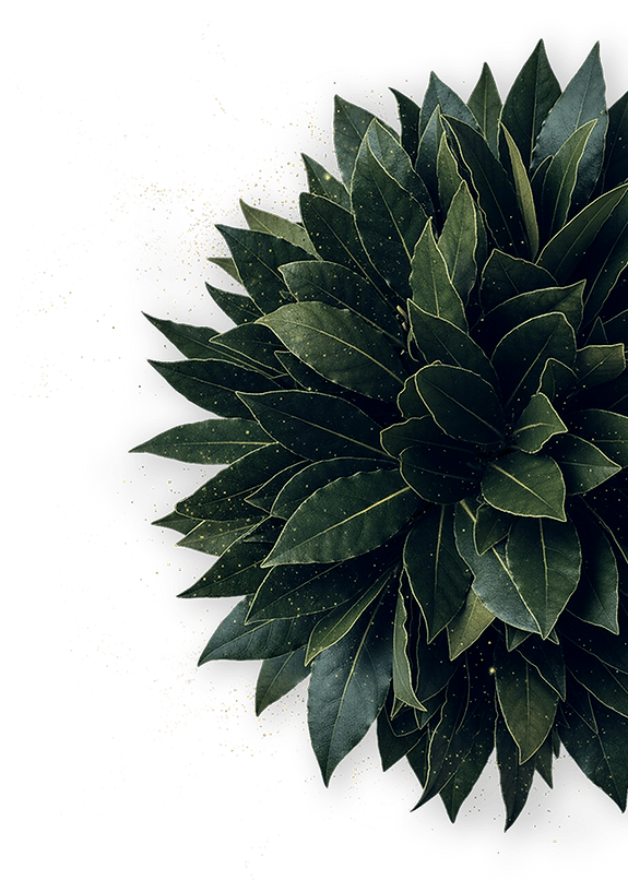 Decorative green foliage