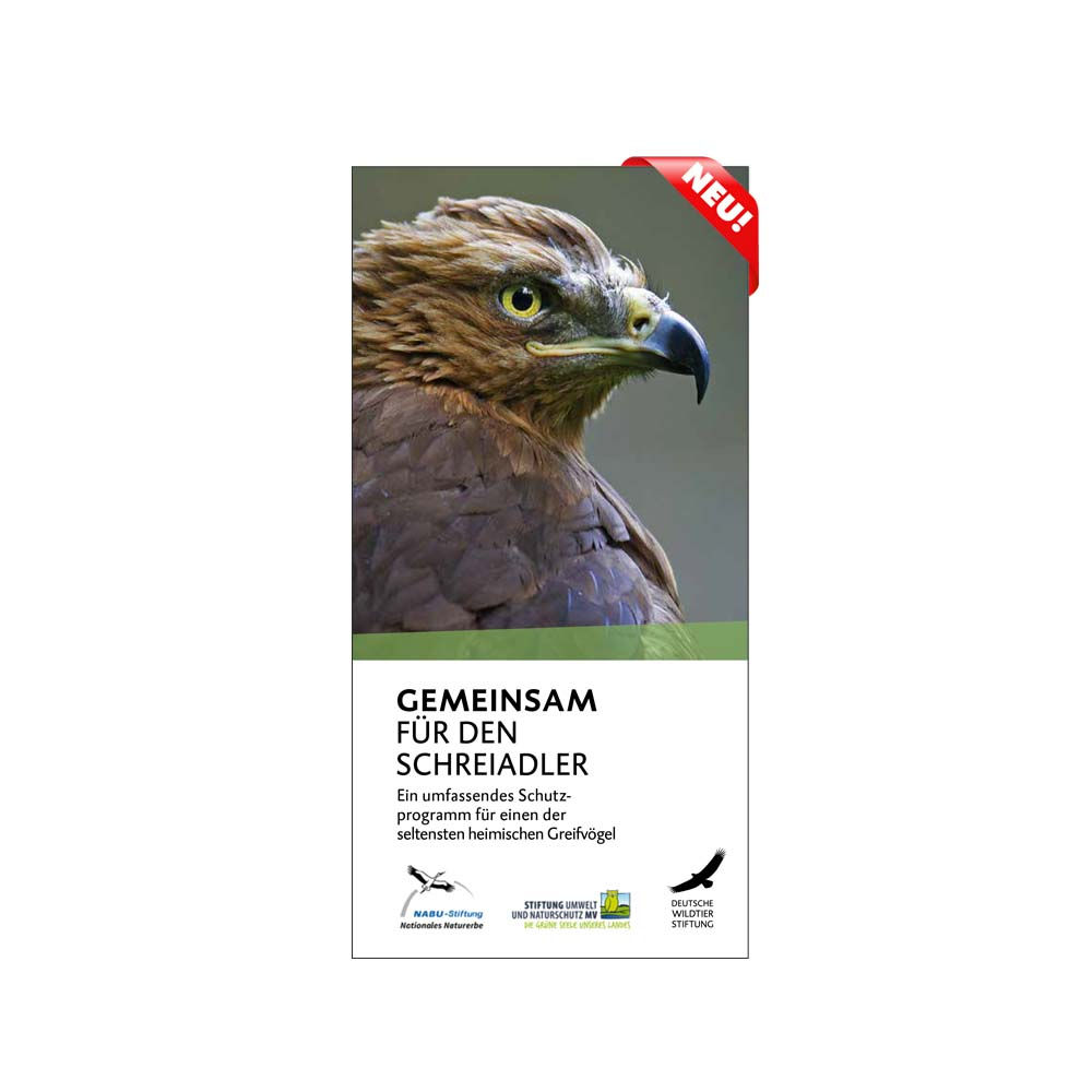 Flyer SCHREIADLER