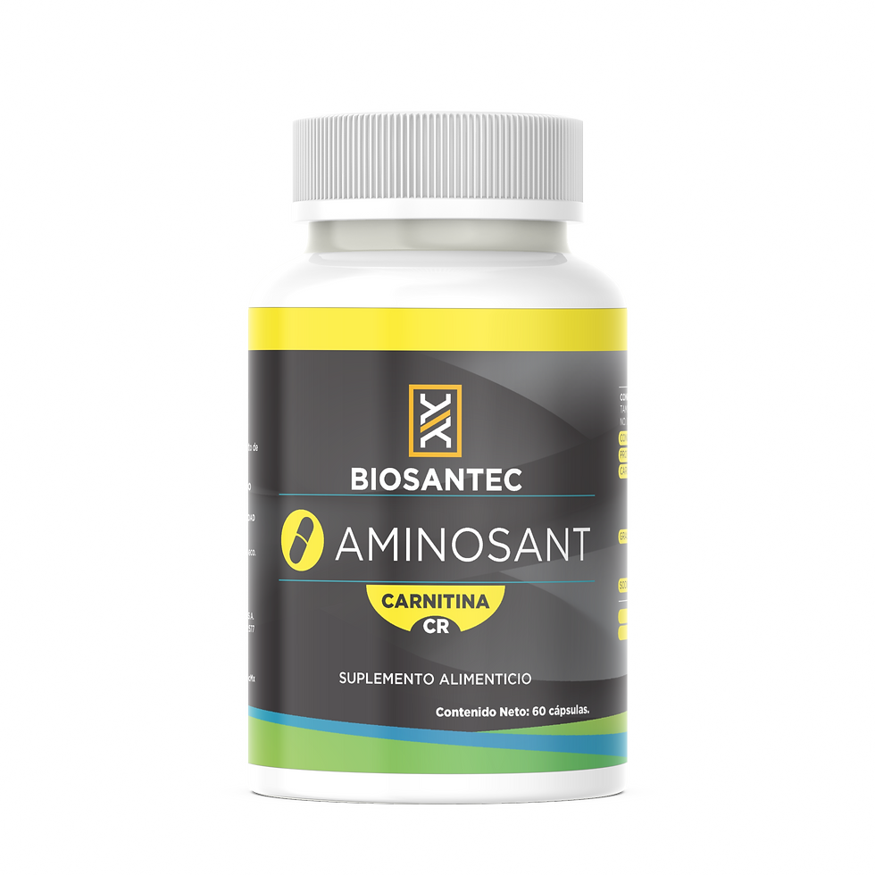 AminoSant Carnitina Cr