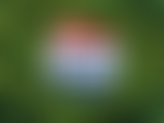 Iniciativa histórica en Dakota del Norte: marihuana legal recreativa en la boleta electoral