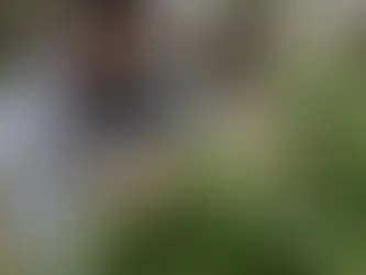 El mercado gris del cannabis en Uruguay: ¿Qué está fallando?