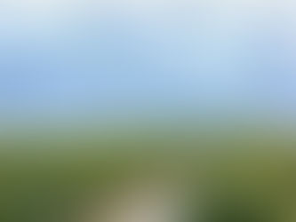 Se enfría negocio de cannabis medicinal en Uruguay