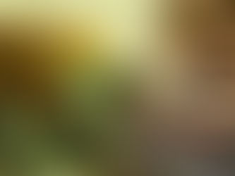 Cannabis legal en Alemania: un club que marca el inicio de una nueva era