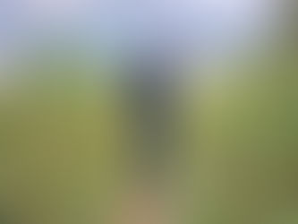 Marruecos multiplica por 14 su producción legal de cannabis en 2024