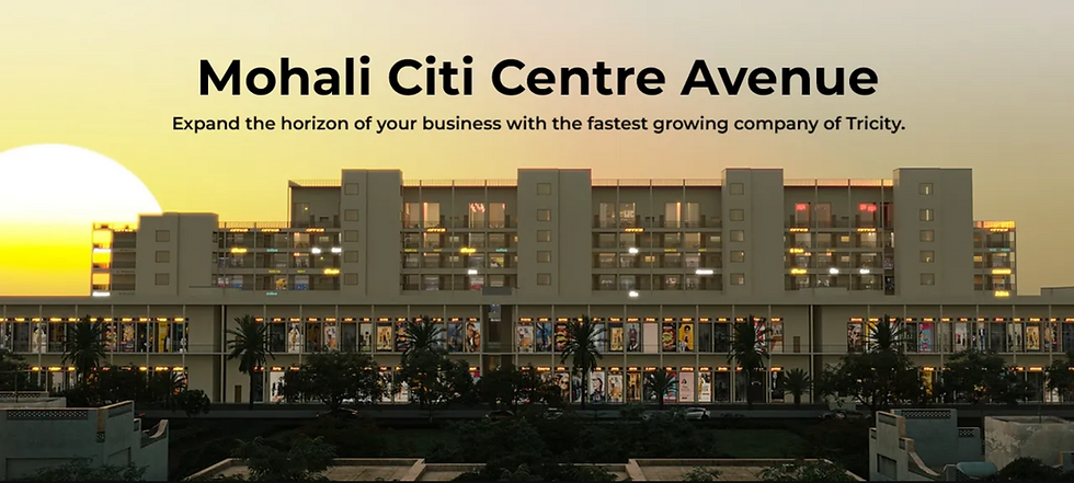 about mohali citi centre
