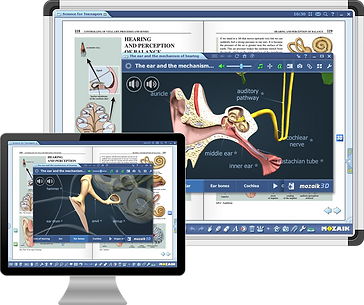 Screen_mozaBook-board-monitor (1).png