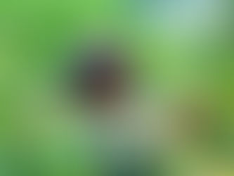 Vietnam's import and export situation in the period of 2022 - 2023