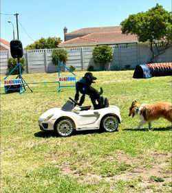 FB_IMG_1770056523122