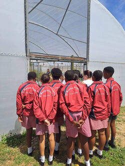 FB_IMG_1770056710859