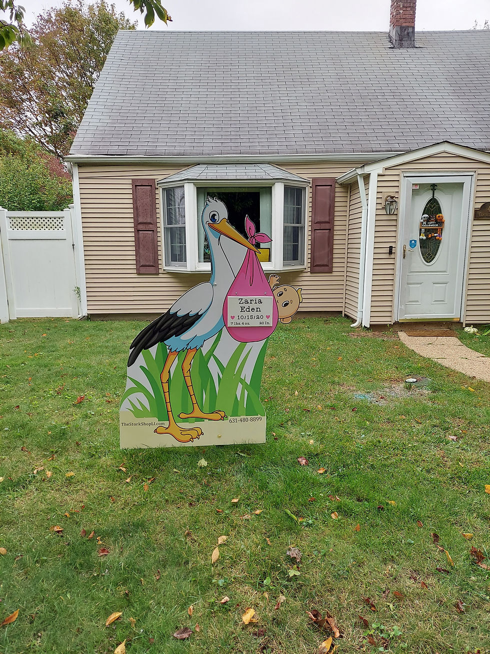Thumbnail: Baby Girl Stork Rental
