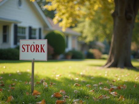 Where to Find the Best Stork Rentals Near You