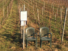 WeinWeinstadtWeingutVinomat24hWeinautomatWeinbauWeinwegWeinprobeWeinerlebnisPlanwagenRemstal