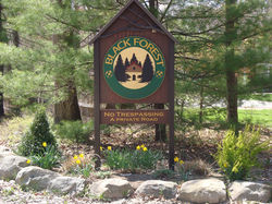 2f1bd2_1098e563a85c4d2d9fd39e764c99cef5