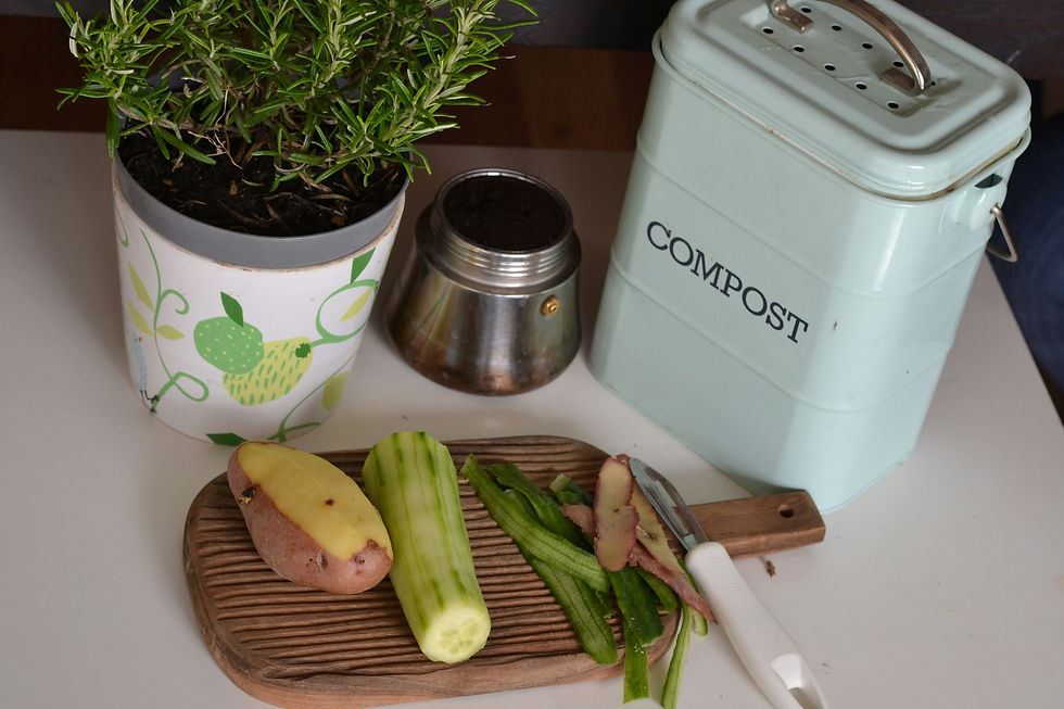 A composting gadget for waste vegetables.