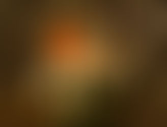 A horse with no name