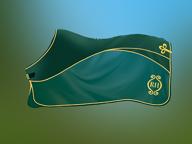 IMG_1771.PNG